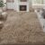 Area Rugs Living Room，Soft Dinning Room Rug，Machine Washable Area Rug，Non-Slip Rug Carpet，Applicable to Office Decor Aesthetic