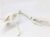 Arm Bone Model Anatomy Human Upper Limb arm Scapula Clavicle Educational