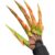 Articulated Fingers 3D Printed Flexible Finger Extensions Lightweight Reusable Claw Decoration Articulated Skeleton Hand Scary Flexible Easy Wear Decoration(Right Hand)