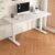 AXVZQLPM Manual Height Adjustable White Standing Desk with Hand Crank, Sit-Stand Computer Desk with Thick Desktop and Steel Frame for Home Office (B,39.4×23.6in)