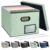 BALEINE File Organizer Box with Lid, Collapsible File Folder Organizer with Plastic Slide, Filing Box for Office Home Document Organizer Storage (Green, 1PK)