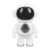 banapoy Interactive Robot Toy for Kids Adults About Smart Learning Games, Stories, Quizzes, Voice Interaction etc. with Built in Wi Fi and Blue Tooth, At Home, Unique Gift