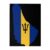 Barbados Flag Map Pattern Building Block Puzzles, Russian Puzzle Toys, and Educational Gifts Suitable for Children 500 Psc