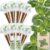 Basil Seed Pods Kit Hydroponic – Refill Herb Pod for All Indoor Garden, 8 Grow Pods with Seeds of Genovese Basil & Plant Food, Compatible with All Hydroponics Growing Systems