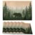 Bear Placemats Set of 6,Misty Fores Placemats Washable Kitchen Dining Linen Table Mats Stain Heat-Resistant for Home Party Indoor 12×18 inch