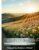 Beauty of Spring: Intermediate Score for String Orchestra