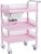 Beauty Salon Cart Storage on Wheel,Beauty Utility Cart Tea Trolley 3 Shelves, Stainless Steel Storage Organiser with ABS Plastic Shelves, 165lbs Load