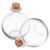 Beavorty 2 Pcs Ml Glass Moss Bottle with Cork Lid, Spherical Glass Terrarium Jar for Plants Featuring Secure and Comfortable Grip and Rounded Mouth, for Home or Office Decoration