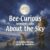 Bee-Curious wonders why About the Sky: A gentle interactive picture book to spark imagination, ideas and creative thinking