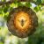 Bee Wind Spinner, Nature Rustic Honeycomb Flower Summer Gold Metal Kinetic Wind Sculptures Outdoor Ornaments for Garden Patio Porch Balcony Home Decor 12 Inch