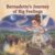 Bernadette’s Journey of Big Feelings: A Children’s Book About Understanding Emotions, Self-Regulation, and Mindful Calm