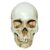 BESSTUUP Home Bar Decoration Adult Skull