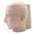 BIBEZE Brain Head Teaching Model Horizontal Brain CT Model, Detachable Human Brain Cross Section, for Medical Class Study