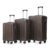 BIFULDYO 3 Pcs Luggage Set, 20/24/28 Inch HardShell Suitcase Spinner Wheels (Brown-B)