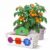 biilog Yellow Cherry Tomato Grow Kit, Dwarf Tomato Plant Growing Kit with Metal Planter, Coconut Coir Medium & Tools, Indoor Vegetable Garden Kit for Kitchen Countertop, Patio & Home