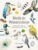 Birds in Watercolour: A Beginner’s Guide to Drawing and Painting Birds