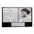 Black And White Vintage Virginia Woolf Motivational Quote Poster (4) Canvas Painting