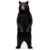 Black Bear Cutout 5 FT, Stand Up Woodland Camping Birthday Photo Booth Prop