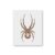 Black Widow Spider Stencil – Reusable Mylar Template for Painting, Drawing, Airbrushing & DIY Craft Projects (Multiple Sizes)