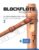 Blockflöte Songbook – 33 Seemannslieder aus aller Welt für Sopran- oder Tenorblockflöte – 2: + Sounds online (German Edition)