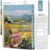 bloom daily planners 2027 Planner (January – December 2027) – Weekly & Monthly Softcover Planner for Women – Calendar Year Inspirational Agenda Book with Stickers – 5.5″ x 8.25″ – A New Day