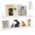 Bolidery 2 Pack Magnetic Book Display for Whiteboard with Pen Holder, 17 Inch Magnetic Book Display for Classrooms, Offices, School Supplies, Kids’ Rooms (White)