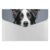 Border Collie 6 Pocket Expanding File Folder for Document