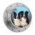 Border Collie Stainless Steel Mechanical Kitchen Timers