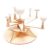 BreezeTrading Solar System Model Wooden DIY Toy Educational Technology Learning Tool Assembling Material Suitable for Student