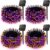 Brightown 4 Pack Halloween Solar String Lights Outdoor, Total 288Ft 800 LED Twinkle Fairy Lights Waterproof with 8 Modes Auto On/Off for Patio Tree Garden Party Home Decorations (Orange&Purple)