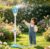 Bubble LAMP Blue