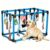 Bullro Blue Puppy Play Gym with 12 Hanging Toys (Blue)
