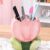 Busnos Cute Toothbrush Holder Pen Holder for Desk Pink Vase Decor Aesthetic Pencil Holder for Office Makeup Brush Holder Kawaii Desk Accessories Tulips Home Decor Birthday Gifts for Women