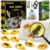 Cameparck Bigger Amber Dig Kit-8 Artificial Insect Resin, Excavate Unique Insect Specimens, STEM Excavation Bugs Toys Science Kit for Kids,Educational Gifts Party Favors for Girls & Boys Age 6-8-12-14