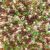 Camouflage Mix Pony Beads – Aesthetic Mix for Bracelets & Jewelry, Made in USA (500 pcs) 6x9mm Brown Green Neutrals Plastic Craft Beads for Concert Festival Bracelets, Arts & Crafts