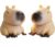 Capybara Squishy Toy