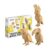CARTONIC Tropical Birds Trio Cardboard 3D Puzzle Set – 3 Models