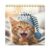 Cat Wall Calendar 2027 Decorative Kitty Photo Planner