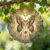 Cat Wind Spinner, Bohemian Mystical Butterfly Moon Autumn Gold Metal Kinetic Wind Sculptures Outdoor Ornaments for Garden Lawn Hallways Yard Party Decor 12 Inch