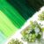 Caydo 500 Pieces Green Pipe Cleaners Craft for Flowers, Chenille Stems Bulk for Kids Creative Arts & Crafts Projects Making and Home Decorations