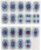 Cell Structure Taxonomy, Cell Division Stage Display Model, Animal Cell Mitosis and Meiosis Model, 19pcs Detailed Chromosome Stages, with Magnetic Suction, for Biology Science Education