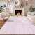 CERYUEE 5’X7′ Pink Living Room Rug Abstract Rainbow Rug Non Slip Boho Mat
