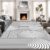 CERYUEE 6’X9′ Rainbow Rug for Living Room Non Slip Mid Century Modern Rug