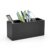 Cewomuc Walnut Wood Pen Holder for Desk with 3 Slots