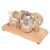 Changor Stirling Engine Motor Model Multi Color LED Educational Toy for Physics Learning Kids Aluminium Alloy 6.7 X 3.1 X 3.9in