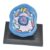 Chosertory Anatomy Model Biology Science Kit for Study Classroom Learning Display