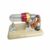Chosertory Physics Experiment Engine Thermodynamic Engine Model Hot Mechanism Teaching Aid Energy Conversion Demonstration with Bamboo Base Suitable for Physics Education lab Practice Office Decor