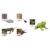 Chosertory Realistic Life Cycle Toy, Early Education, Animal Growth Cycle Figures for Preschool, Frog