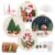 Christmas Embroidery Kit for Beginners,Embroidery Starter Kit for Adults