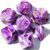 CiaraQ 7pcs Polyhedral Dice Set for Dungeon and Dragons MTG Table Games